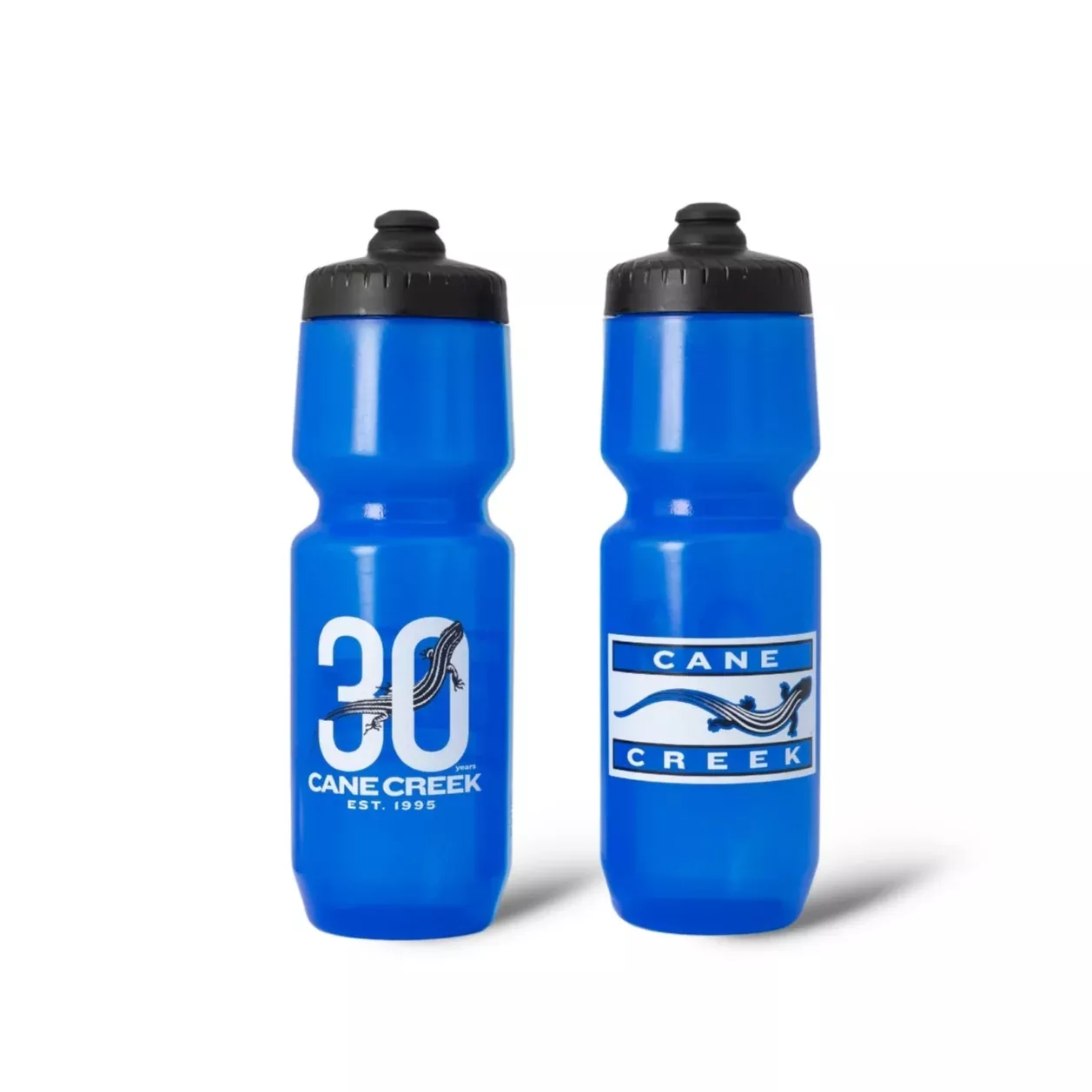 30th Anniversary Water Bottle