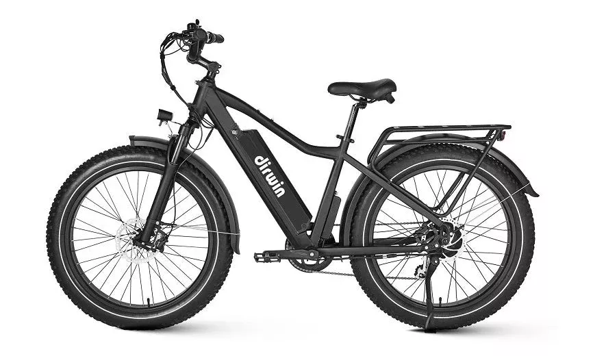 Dirwin Seeker Fat Tire Electric Bike