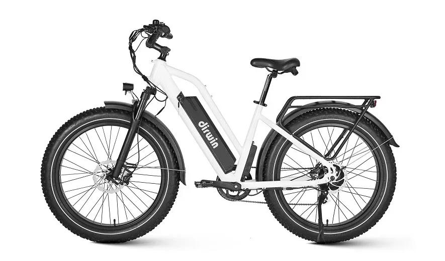 Dirwin Seeker Step-thru Fat Tire Electric Bike