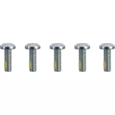 Drag Specialties Hardware Kit - Brake Rotor - Torx - Without Nuts - 5/16"-18