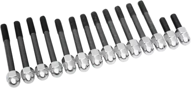 Drag Specialties Nut Set - Acorn - Cylinder Base