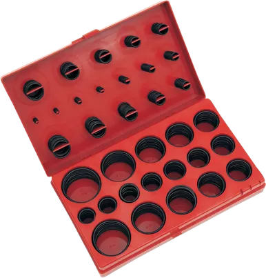 Performance Tool O-Ring Assortment - 407- Piece W5202